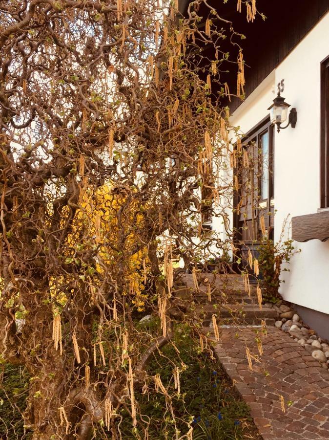 Hegau-Lounge-Bodensee Muhlhausen-Ehingen Kültér fotó